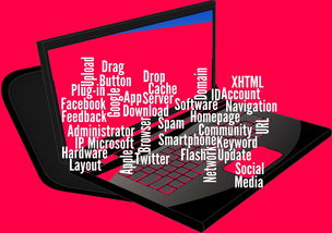 开云LOL-CBA开展球员社交媒体管理课程提高职业素养，运动员社交媒体